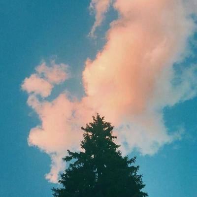 im电竞官方app下载