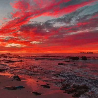 半岛官方登录地址