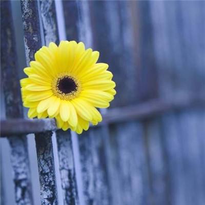 万博manxbet官方下载手机版截图