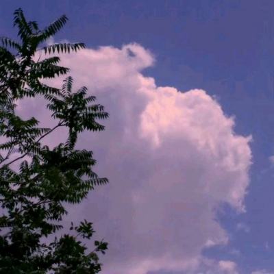 北单体彩网官网