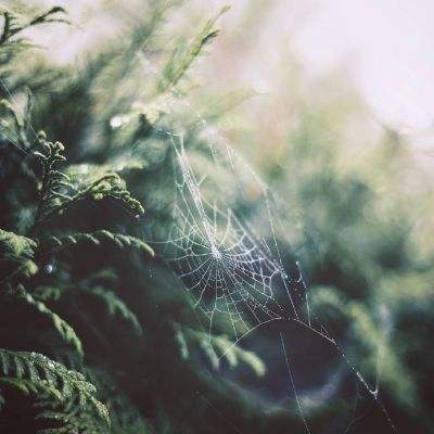 新万博全站app最新版